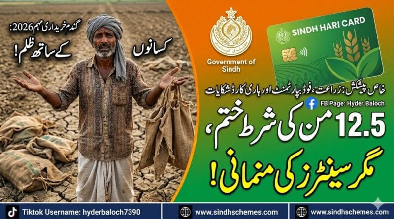 Sindh Wheat Procurement Policy 2026 and Hari Card Issues Complaint Guide