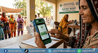 Benazir Income Support Program Check Online