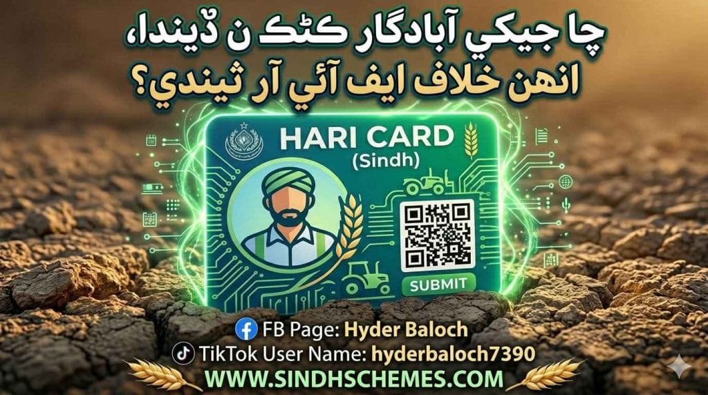 Wheat Procurement Policy 2026 Sindh Update Hari Card