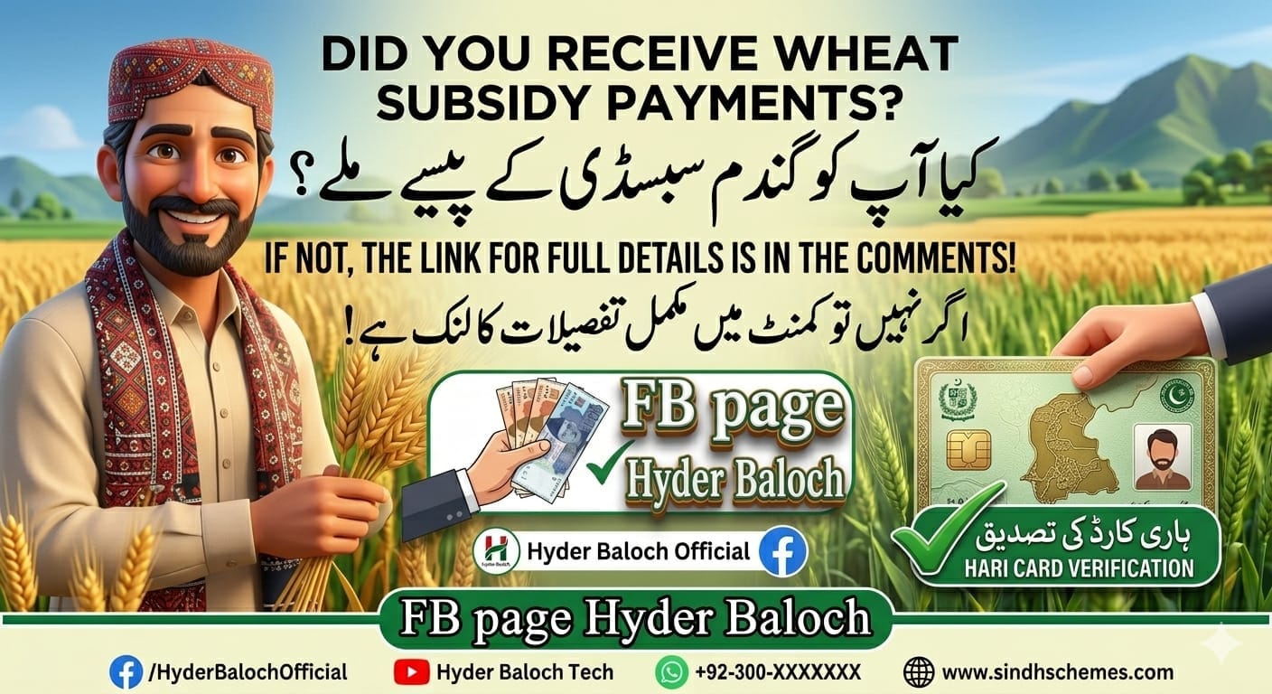Wheat Subsidy Payment 2026 Sindh Status and Verification Guide