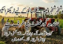 Sindh Tractor Scheme for Hari Card Holders Red Russian Tractor