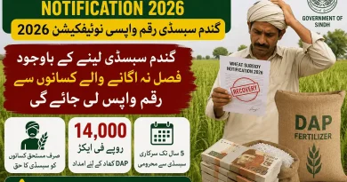 Wheat Subsidy Recovery Notification 2026 thumbnail showing Sindh government wheat subsidy recovery notice for farmers who did not cultivate wheat after receiving DAP subsidy.