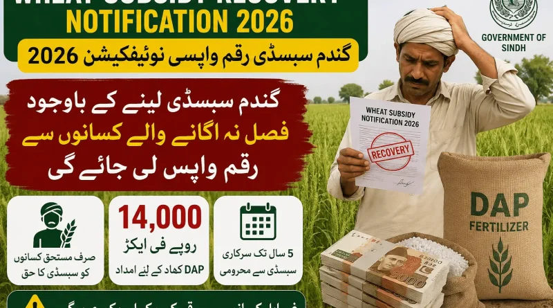 Wheat Subsidy Recovery Notification 2026 thumbnail showing Sindh government wheat subsidy recovery notice for farmers who did not cultivate wheat after receiving DAP subsidy.