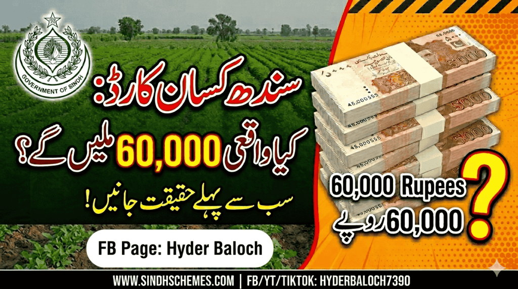 Sindh Kisan Card 60000 Reality Check