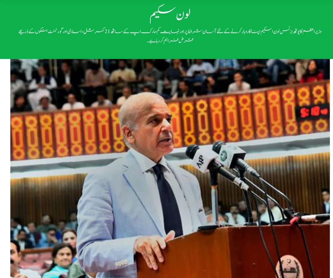 Prime Minister Youth Loan Scheme 2026 Loan Categories