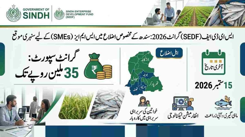 SEDF Grant 2026 for Sindh SMEs up to 35 million