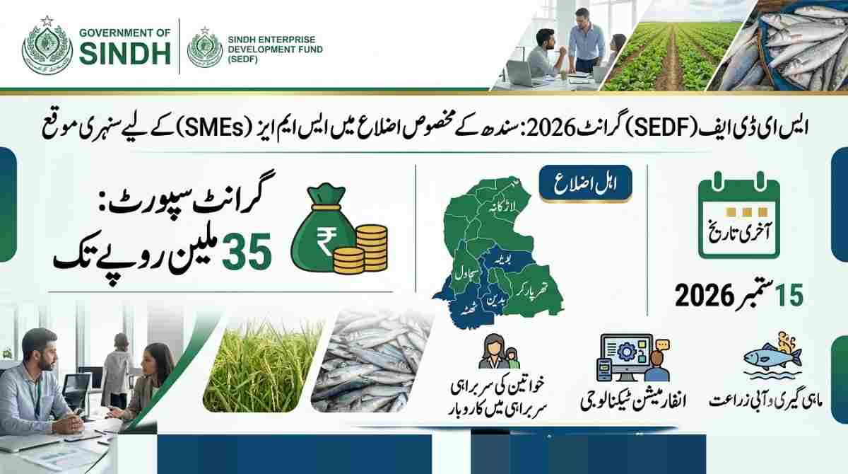 SEDF Grant 2026 for Sindh SMEs up to 35 million