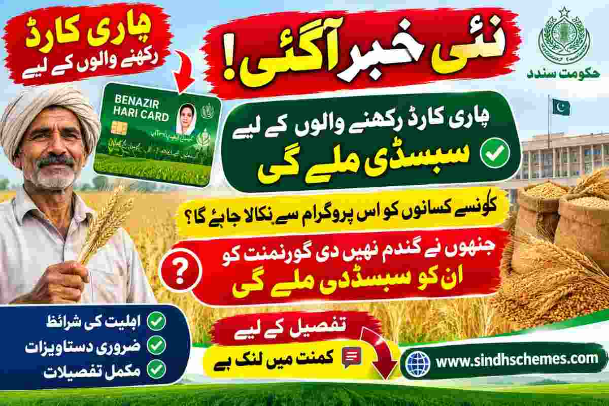 Sindh Wheat Subsidy 2026