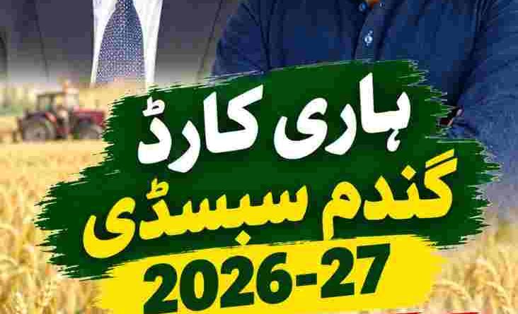 Hari Card 2026-27 Wheat Subsidy Sindh Farmers