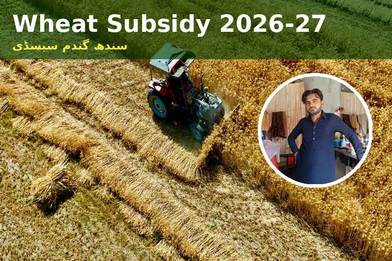 Benazir Hari Card 2026-27 New Registration and Wheat Subsidy for Sindh Farmers