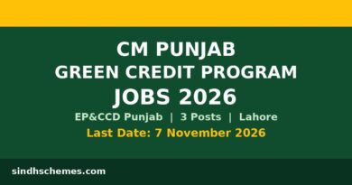 CM Punjab Green Credit Program Jobs 2026