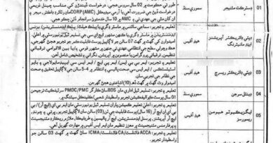 PPHI Sindh Jobs November 2026