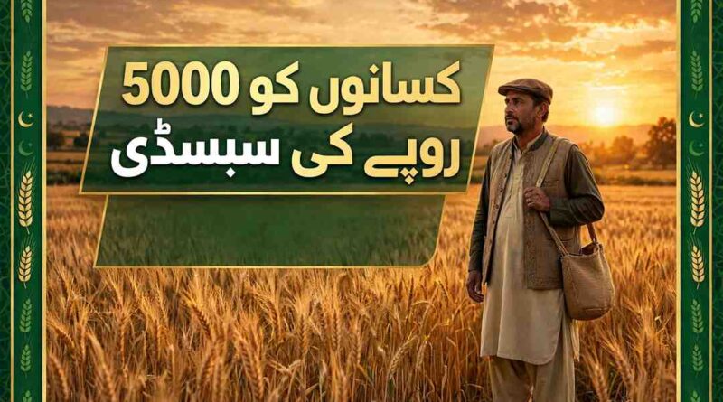 KP Wheat Subsidy 2026 - Rs 5000 in-kind subsidy for farmers