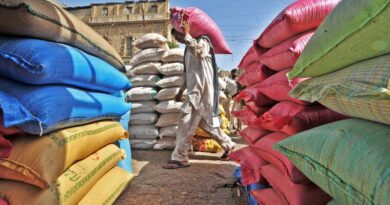 Punjab Flour Subsidy 2026